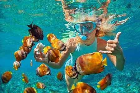 From Sanur or Ubud: Snorkeling at Blue Lagoon by Group Transfers
