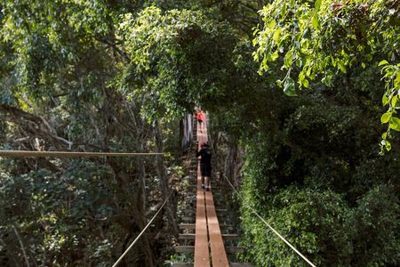 Kipu Zipline, Kayak, and Hiking Safari