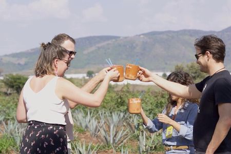 The Essence of Tequila