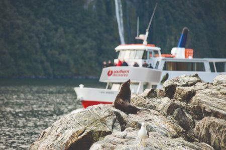 Milford Sound Extended Cruise with Southern Discoveries