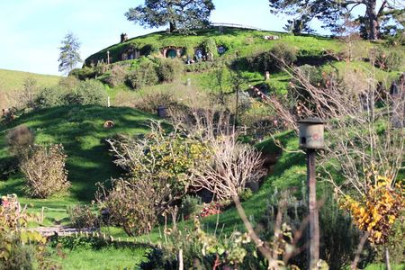 2-Day Hobbiton, Rotorua, Waitomo Caves Tour from Auckland with Accommodation