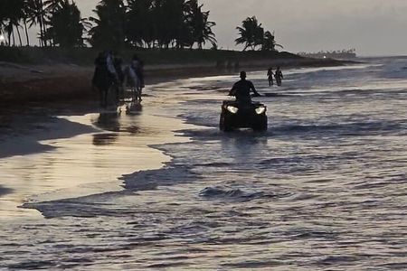 Horses and buggy at beach