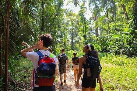 Expedition in the Jungle to the Eco Abandoned Estate of Punta Mona 
