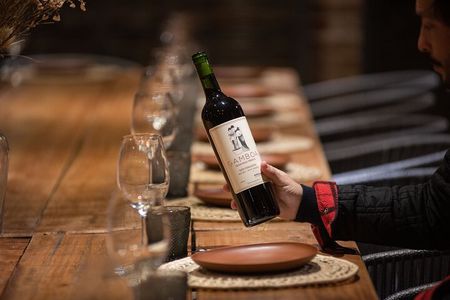 Bodega Gamboa Small-Group Wine Tasting Tour with Lunch