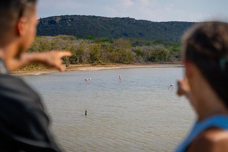 Curaçao tours Island Tour