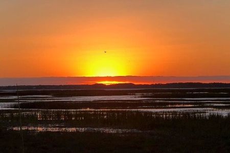 1 Hour Sunset Airboat Tour