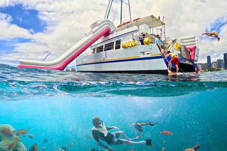 Turtle Snorkel Adventure from Waikiki, Oahu