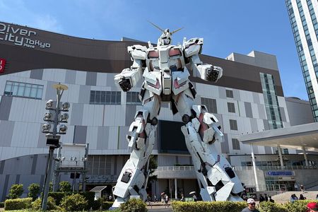 Tokyo Private Sightseeing Tour by Car with Local Guide