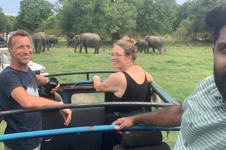 Sigiriya Rock Fortress & Minneriya National Park Private Safari