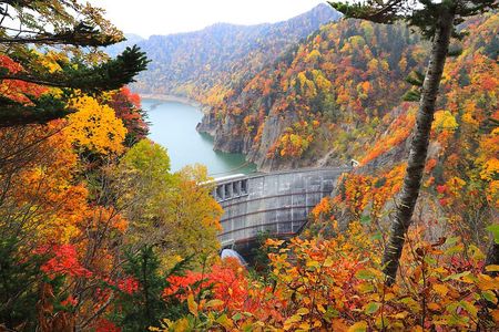 Autumn Tour from Sapporo Hoheikyo Dam and Hoheikyo Onsen