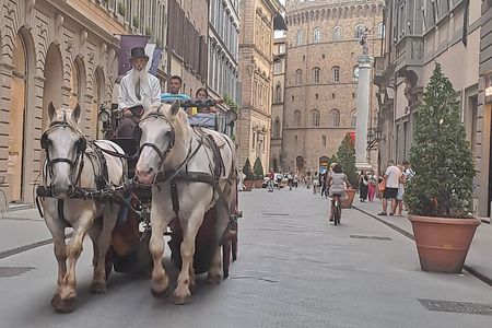 Medieval Carriage Ride with Horses and Local Tour Guide