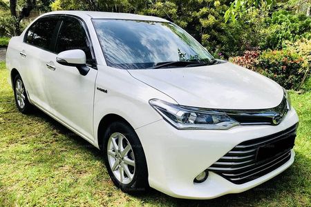 Sri Lanka Multi Day tour Car Rent by English Driver-Guide