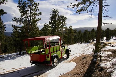 The Rocky Mountain National Park Winter Safari Tour