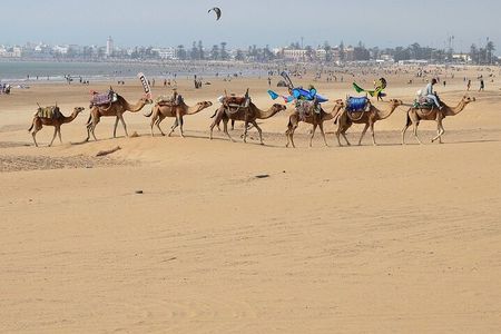 Marrakech shared trip to essaouira Mogador