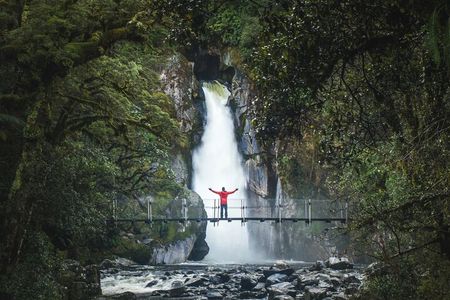Milford Sound Nature Cruise and Self-Guided Scenic Track Walk
