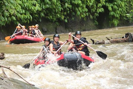 Best White Water Rafting in Bali