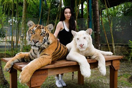 Phuket City tour with Tiger Experience (Best Seller)