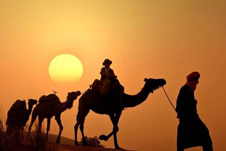 Agadir 4x4 Safari camels at sunset and dinner