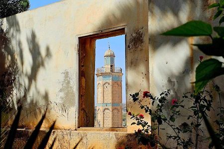 Oran: All the Must-Sees of El Bahia in One Tour with a local