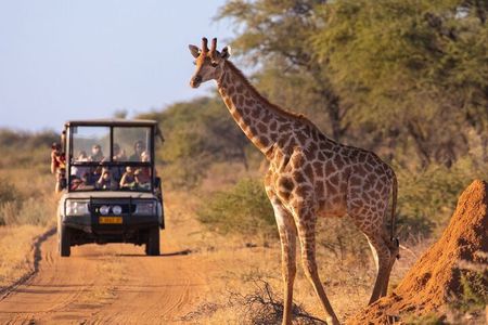 Kruger National Park 5-Day Shared Tour with Transportation