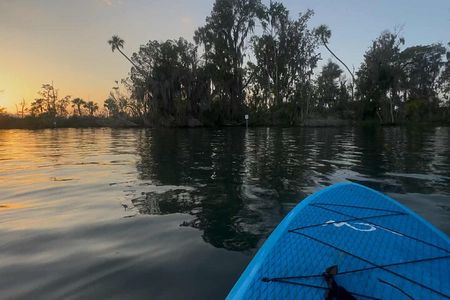 Crystal River Sunrise Manatee Clear Kayak Tour