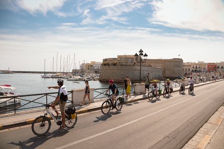 Lecce : E-bike tour to Gallipoli with swim and Private taxi back