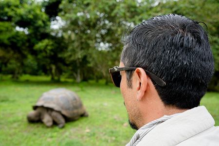 Transfer Baltra to Santa Cruz + Galapagos Tortoise Visit | Shared