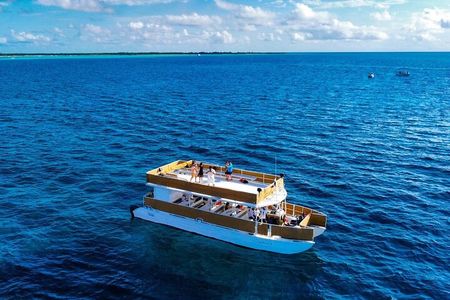 Cozumel Catamaran Tour: Snorkel at Top Reefs & Open Bar