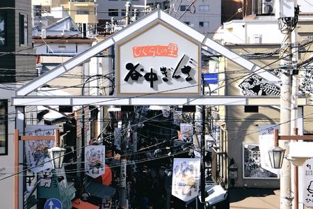 Walking Tour in Yanaka Nezu and Sendagi: Tea Ceremony & Old Tokyo