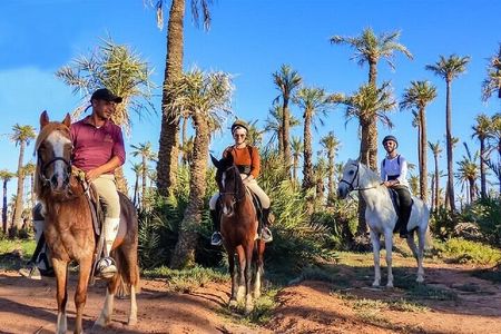 Horseback Riding Adventure in Palmeraie Grove 2 hours -Marrakech