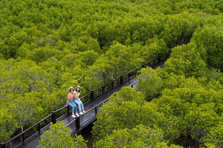 Pranburi Mangrove Swamp and River Cruise