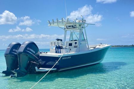 4 Hr Private Rose Island Tours- Beaching,Snorkeling,Turtles,Pigs