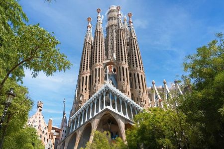 Fast Track: Sagrada Familia Guided Tour 