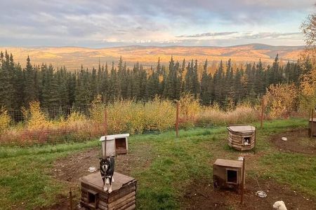 Sluice Box Kennel Experience