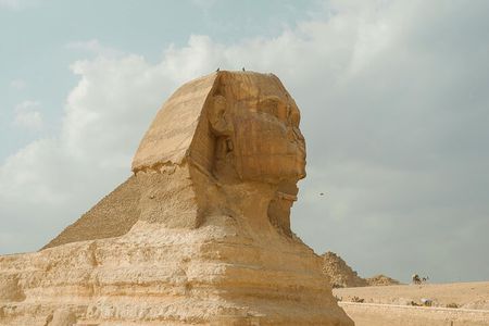 Explore Pyramids, Camels and Authentic Egyptian Food in Giza