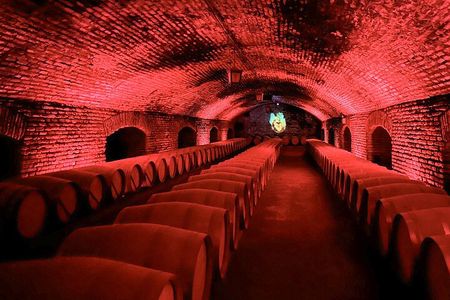 Marquis de Casa Concha: Wine tasting in Concha y Toro