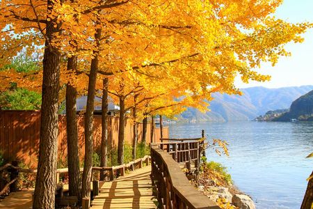 Nami Island Trip with Petite France & Italian Village and Gangchon Rail Bike