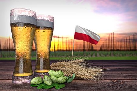 Katowice Private Polish Beer Tasting Tour