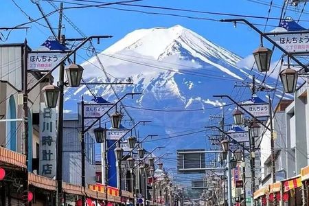 From Tokyo:Mount Fuji Lake Kawaguchi, Oshino Hakkai,Shrine Tour