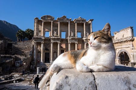 Private Daily Ephesus Tour From Istanbul With Flights