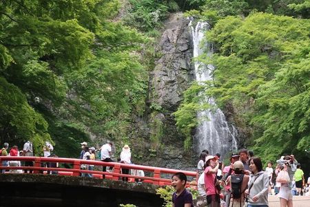 Katsuo-ji, Minoo Falls, Todai-ji, Arashiyama & Nara Park Day Tour
