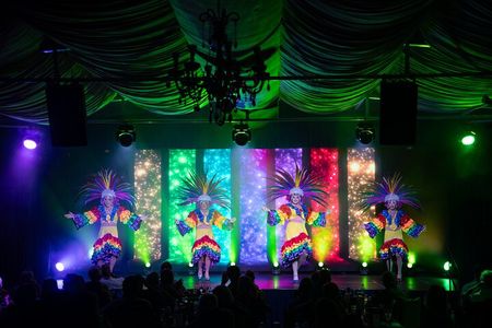 Stardust Variety Dinner Show