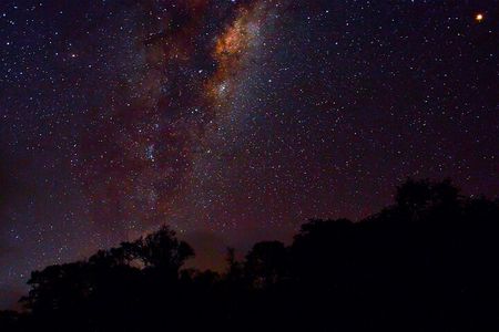 Rainforest Camping in Kudremukh National Park