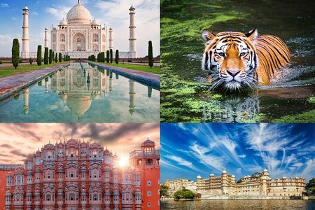 8 Day Delhi Agra Ranthambore Udaipur Jaipur Delhi Tour.