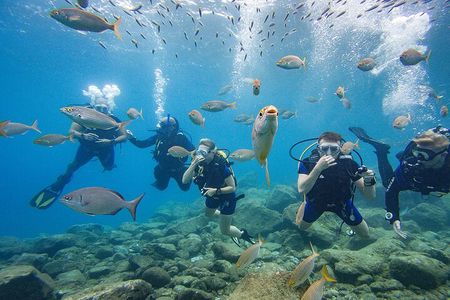 Discover Scuba Diving Adventure in Tenerife