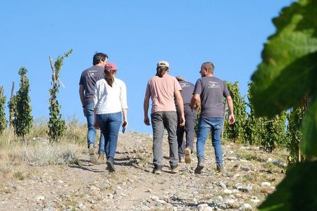 Chandon Private Tour and Chimera Bistro Lunch - Michelin Guide