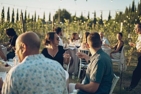 Lunch in a Tuscan vineyard with wine tasting