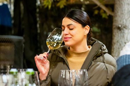 Viña Concha y Toro: Premium Wine Center Tour