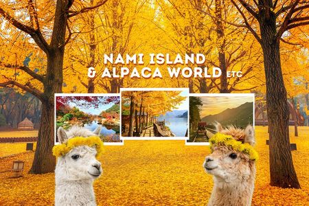 Alpaca World Tour with Nami Island (optional Railbike or Garden)