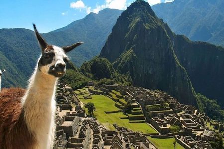 Lares Trek & Short Inca Trail 4-Day Hike to Machu Picchu